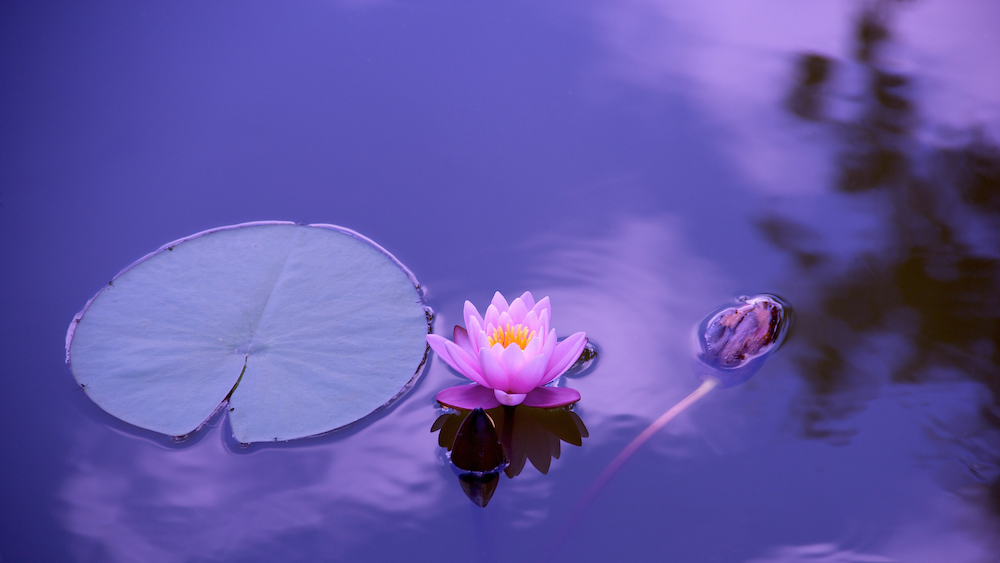 Wednesday meditation group