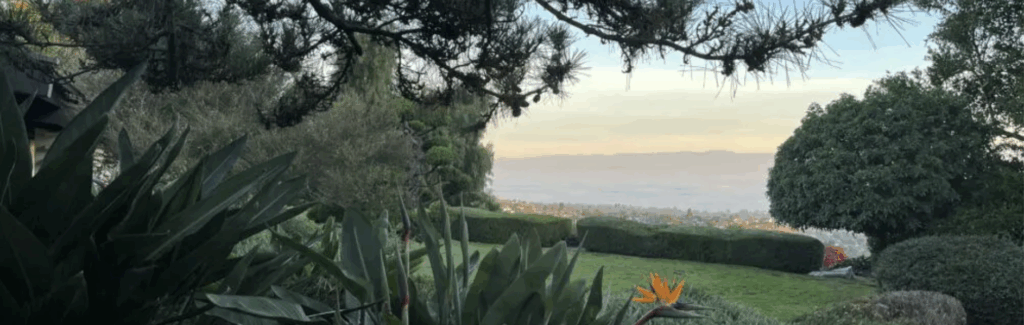 Shelter from the Storm: Cultivating a Steady Heart