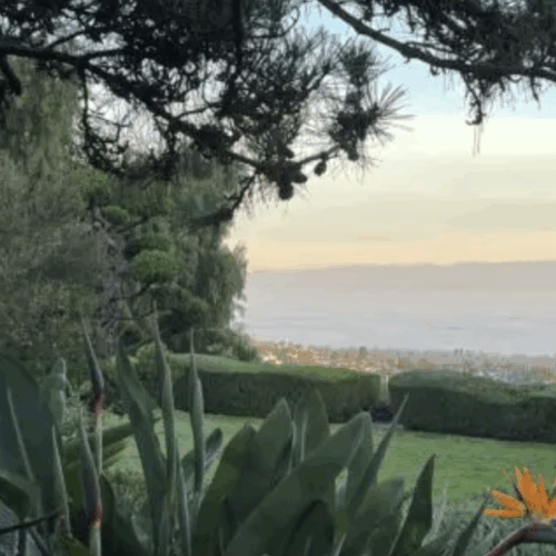 Shelter from the Storm: Cultivating a Steady Heart